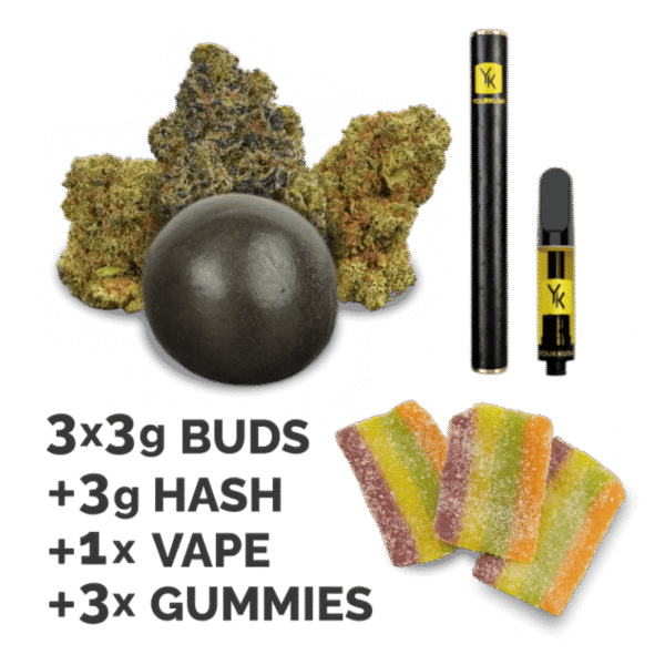 15d73027-3138-44dd-bd77-8468f60f2f86-800x800-2 Full Spectrum Gummies Test Pack