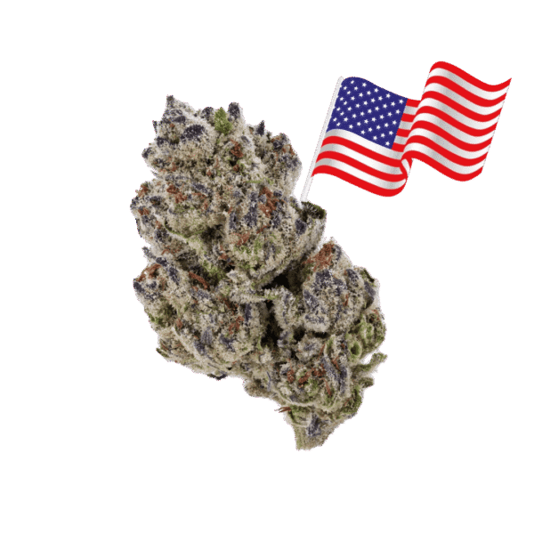 9b0e13db-0010-4f44-b757-a63a932544da girl scout cookies strain