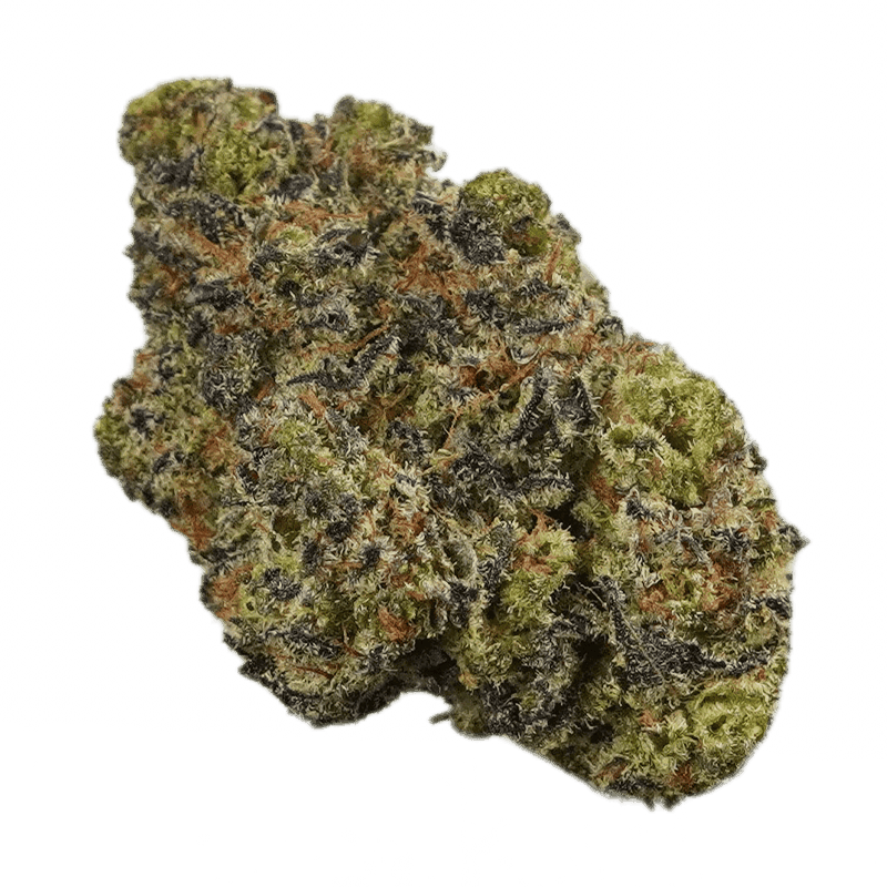 AK-47 Marijuana Strain