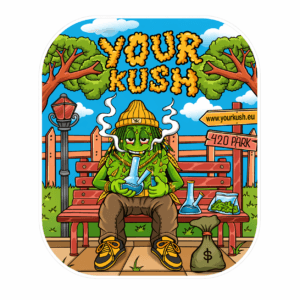 YK coaster