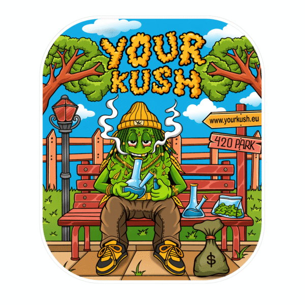 YK coaster