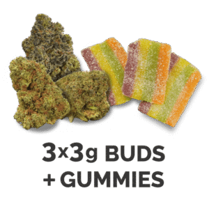 bud gummies test pack