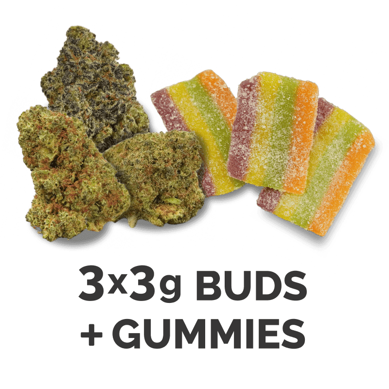 bud gummies test pack