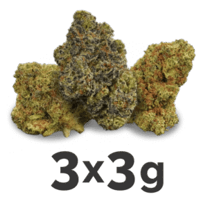 Amnesia Haze Weed Strain