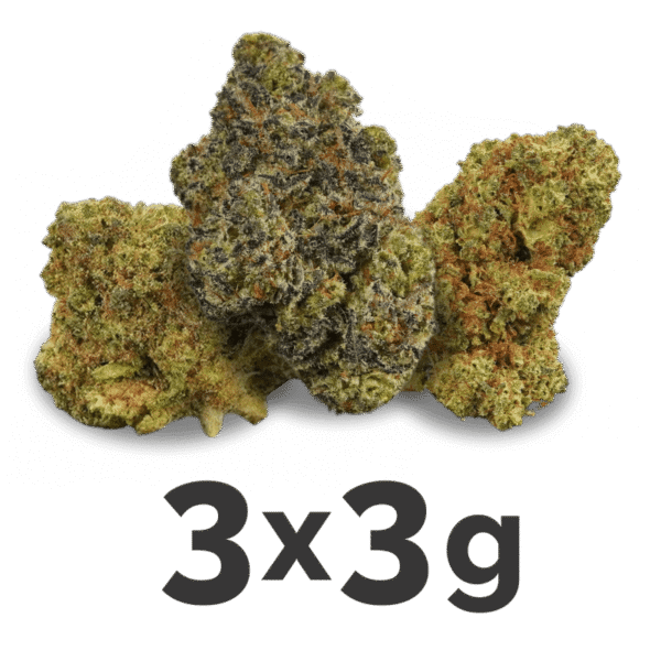 Amnesia Haze Weed Strain
