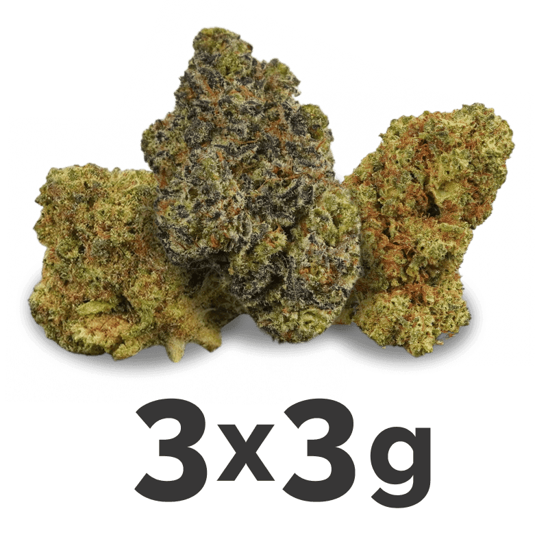 Amnesia Haze Weed Strain