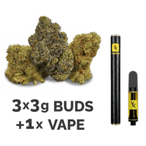 Vape & Bud Test Pack