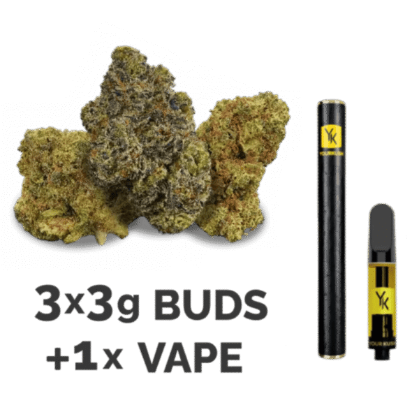 budsvape Vape & Bud Test Pack