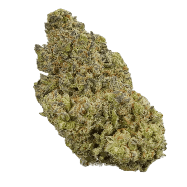 Gelato CBD