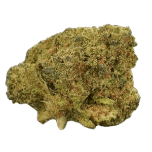 amnesia haze strain