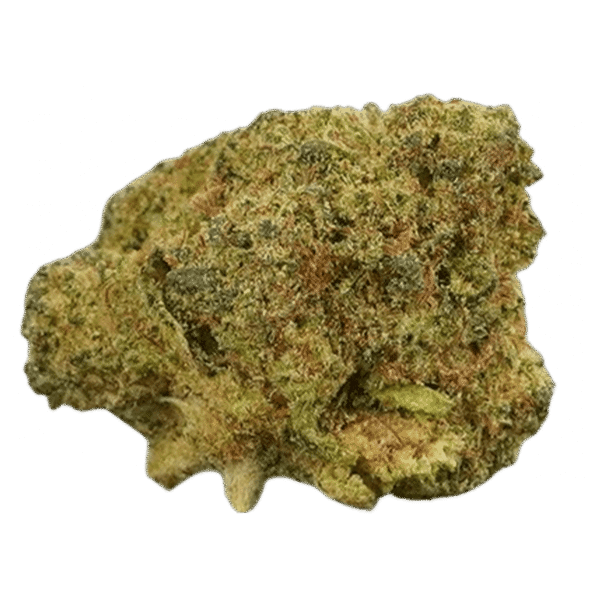 purple-haze amnesia haze strain