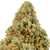 Apricot-Scones-Strain-macro-Figma-680x680.png Apricot Scones THCA Flower