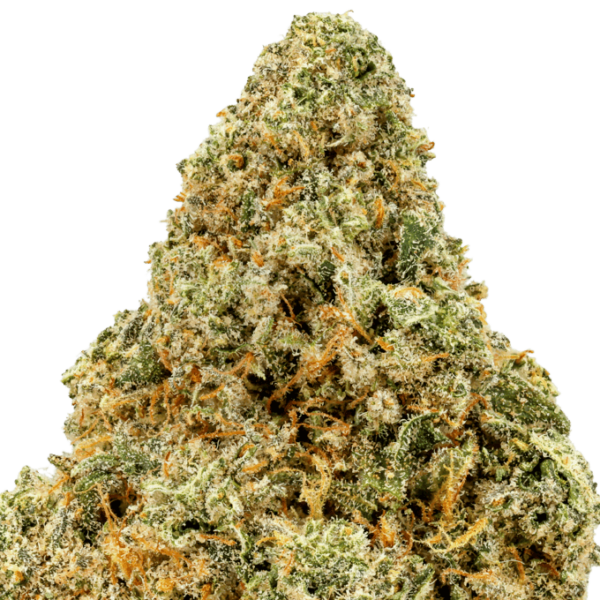 Apricot-Scones-Strain-macro-Figma-680x680.png Apricot Scones THCA Flower