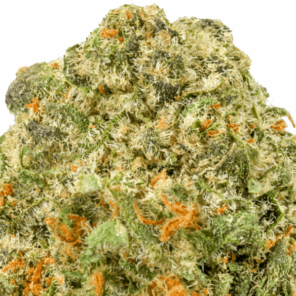 Aye-Papi-Strain-Macro-680x680.png Aye Papi THCA Flower
