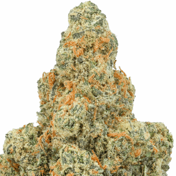 Banana-Kush-Strain-macro-680x680.png Banana Kush THCA Flower