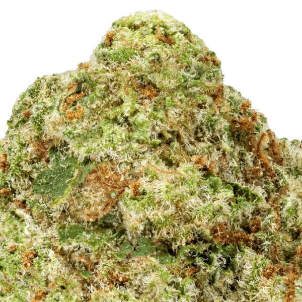 Blueberry Muffin THCA Flower