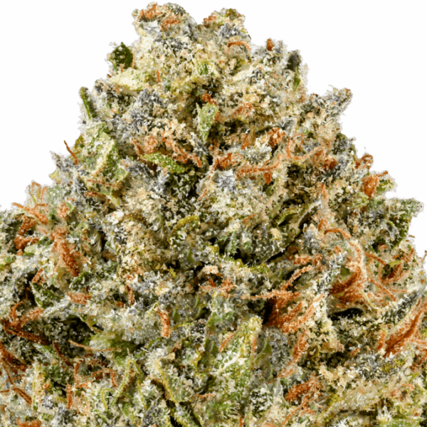 Bubble-Gum-Strain-Macro-1-680x680.png Bubblegum THCA Flower