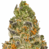 Caked-Up-Cherry-Strain-macro-680x680.png Caked Up Cherries THCA Flower