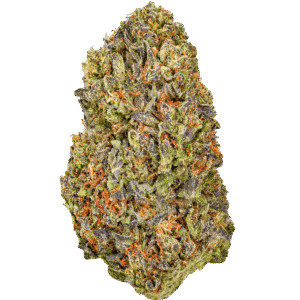 Cereal-Milk-Strain-1 Cereal Milk THCA Flower