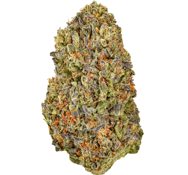 Cereal-Milk-Strain-1 Cereal Milk THCA Flower