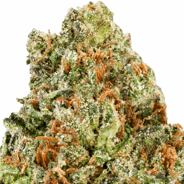 Cherry-Cake-Strain-Macro-1-680x680.png Cherry Cake THCA Flower