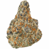 Dantes-Inferno-Strain-2-680x634.png Dante’s Inferno THCA Flower