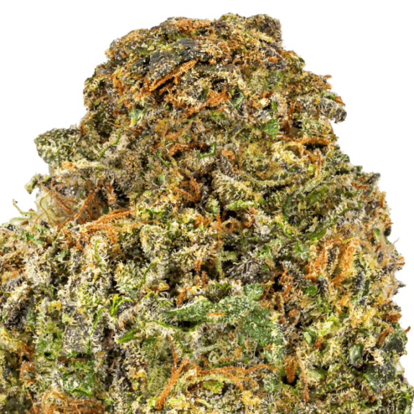 Gelato-Fuel-Strain-macro-680x680.png Gelato Fuel THCA Flower