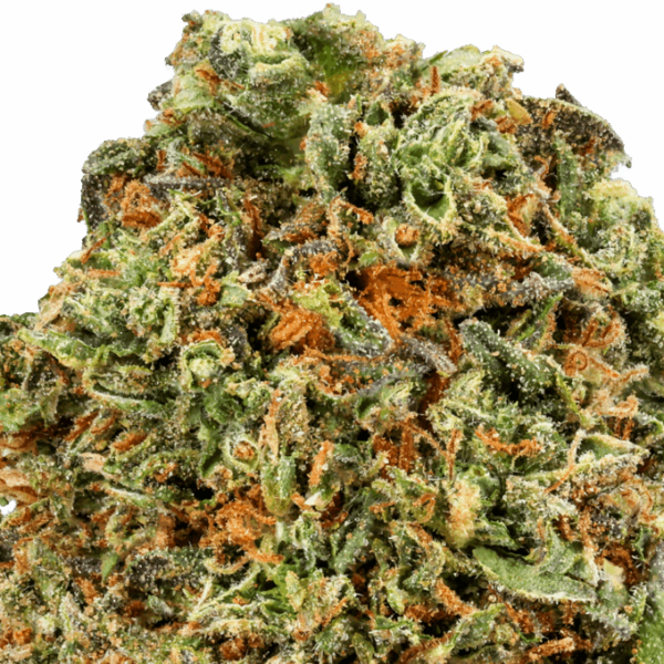 Gelato-Strain-Macro-1-680x680.png Gelato THCA Flower