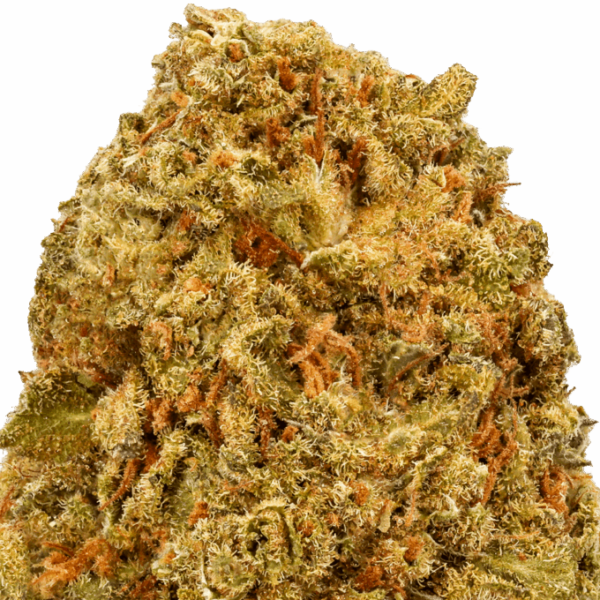 Ice-Cream-Cookies-Strain-macro-1-680x680.png Ice Cream Cookies THCA Flower