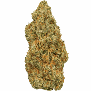 Jager-Strain-680x634.png Jager THCA Flower