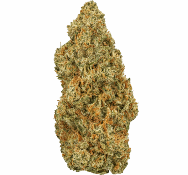 Jager-Strain-680x634.png Jager THCA Flower