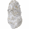 Jet-Fuel-Sno-Caps-Strain-539x502 Jet Fuel Snow Caps THCA Flower