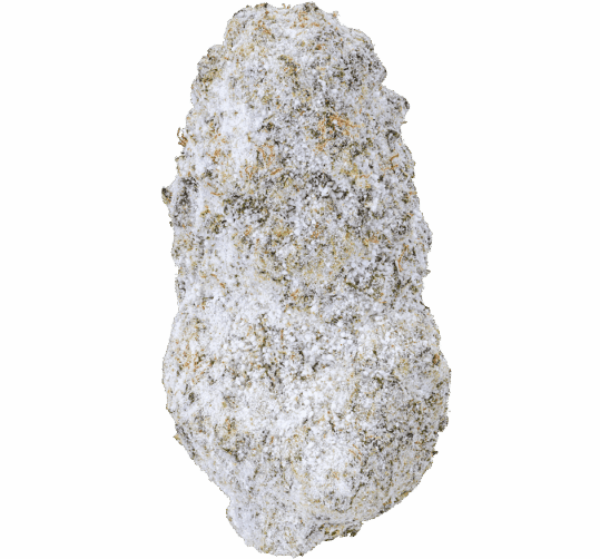 Jet-Fuel-Sno-Caps-Strain-539x502 Jet Fuel Snow Caps THCA Flower