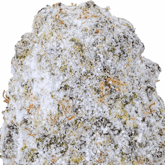 Jet-Fuel-Sno-Caps-Strain-macro-539x539 Jet Fuel Snow Caps THCA Flower