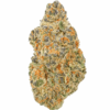 Jungaloto-Strain-1-680x634.png Junglato THCA Flower