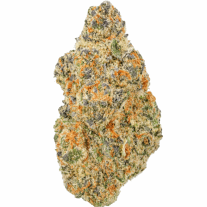 Jungaloto-Strain-1-680x634.png Junglato THCA Flower