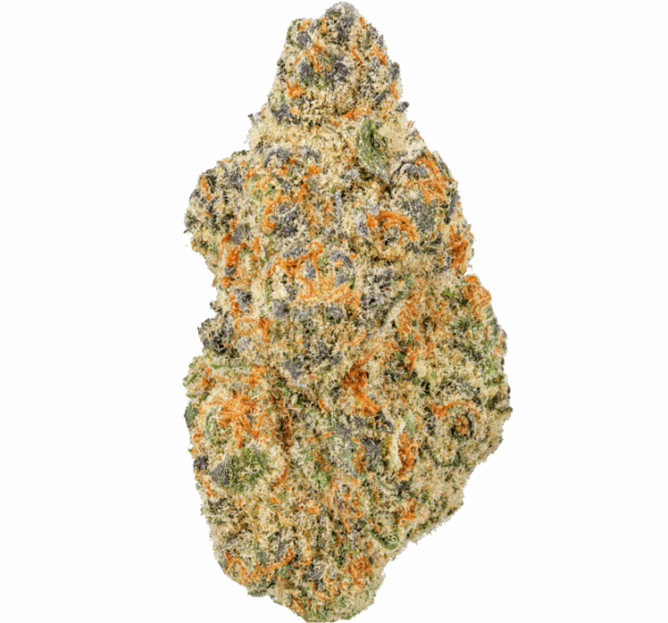 Jungaloto-Strain-1-680x634.png Junglato THCA Flower