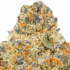 Jungaloto-Strain-Macro-1-680x680.png Junglato THCA Flower