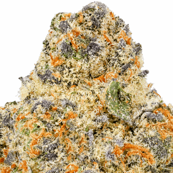 Jungaloto-Strain-Macro-1-680x680.png Junglato THCA Flower