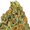 Lemon-Cherry-Strain-Macro-2-680x680.png Lemon Cherry THCA Flower