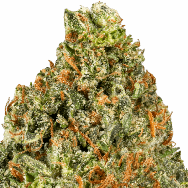 Lemon-Cherry-Strain-Macro-2-680x680.png Lemon Cherry THCA Flower