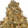 Melon-Baller-Strain-Macro-2-680x680.png Melon Baller THCA Flower