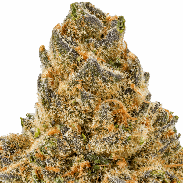 Melon-Baller-Strain-Macro-2-680x680.png Melon Baller THCA Flower