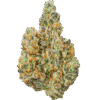 Modified-Grape-Strain Modified Grapes THCA Flower