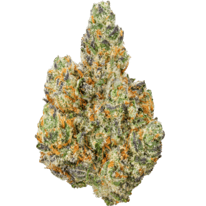 Modified-Grape-Strain Modified Grapes THCA Flower
