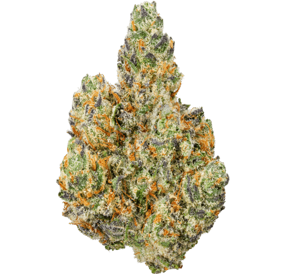 Modified-Grape-Strain Modified Grapes THCA Flower