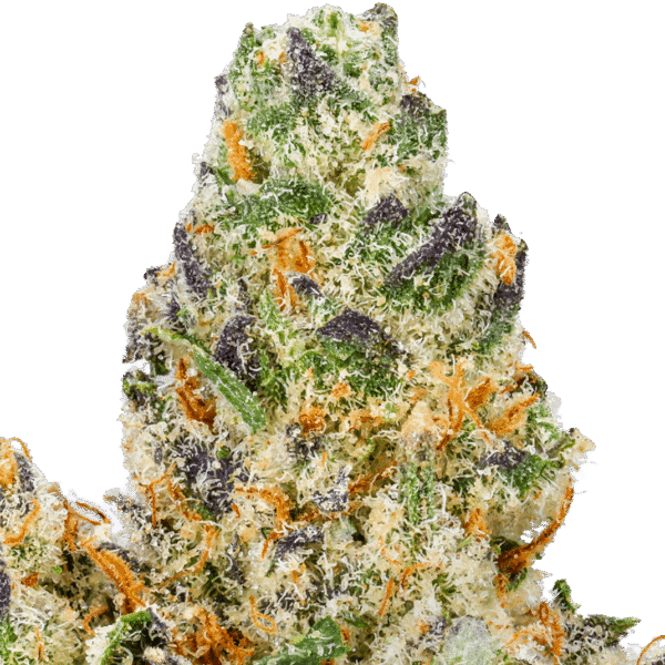 Modified-Grape-Strain-Macro Modified Grapes THCA Flower