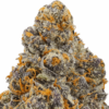Nightmare-Cookies-Strain-macro-680x680.png Nightmare Cookies THCA Flower