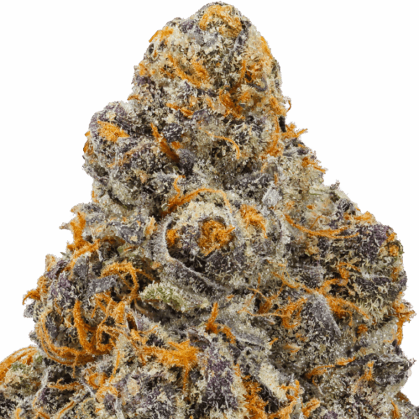 Nightmare-Cookies-Strain-macro-680x680.png Nightmare Cookies THCA Flower