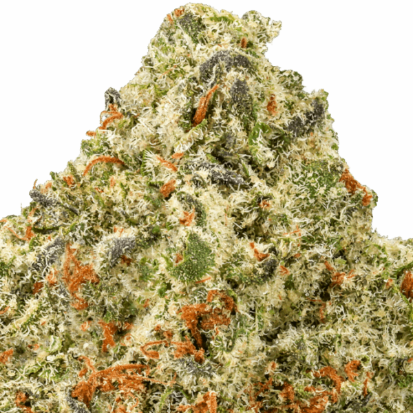 Oreoz-Strain-Macro-1-680x680.png Oreoz THCA Flower